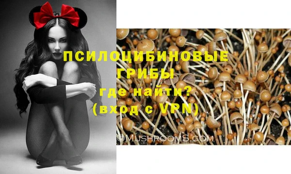 стафф Белокуриха