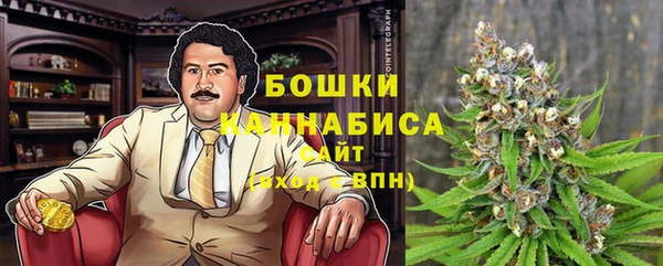 стафф Белокуриха